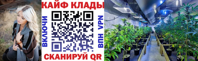 Виды наркоты Бугульма Гашиш АМФ А ПВП МЕФ МАРИХУАНА