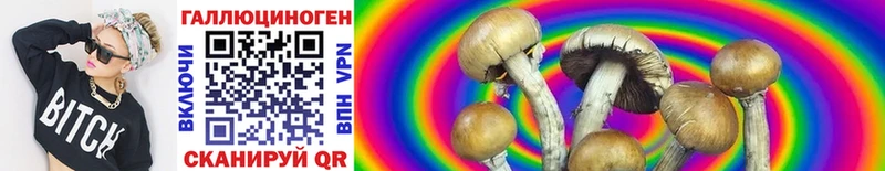 магазин    Бугульма  blacksprut ONION  Галлюциногенные грибы GOLDEN TEACHER 