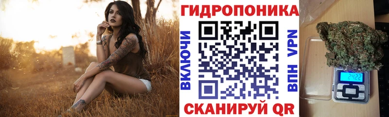 закладки  Бугульма  Шишки марихуана сатива 